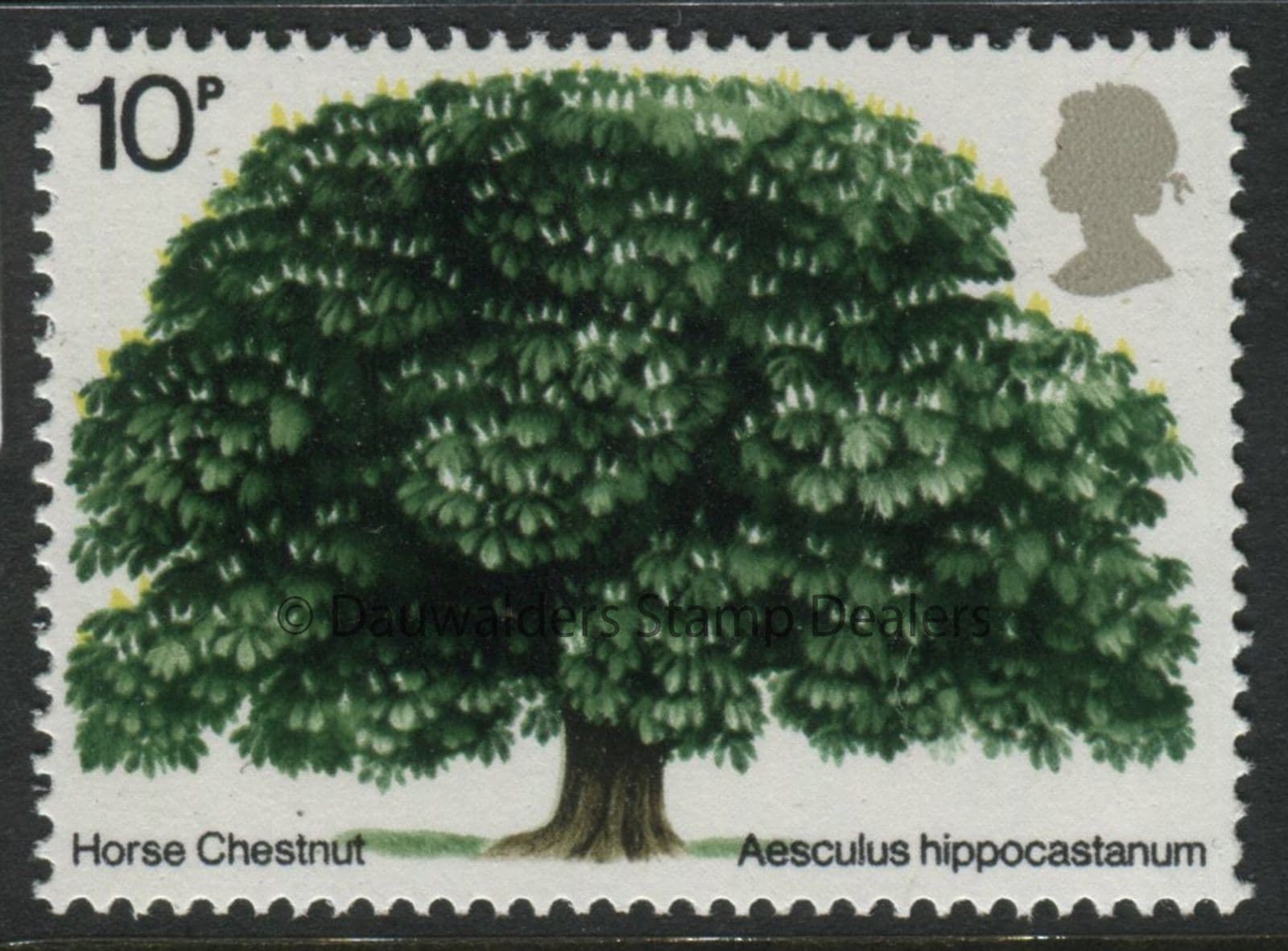 1974 Tree