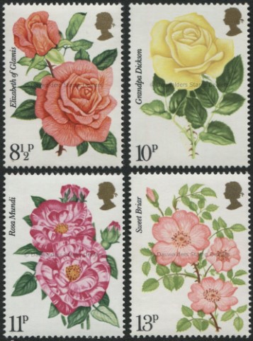 1976 Roses