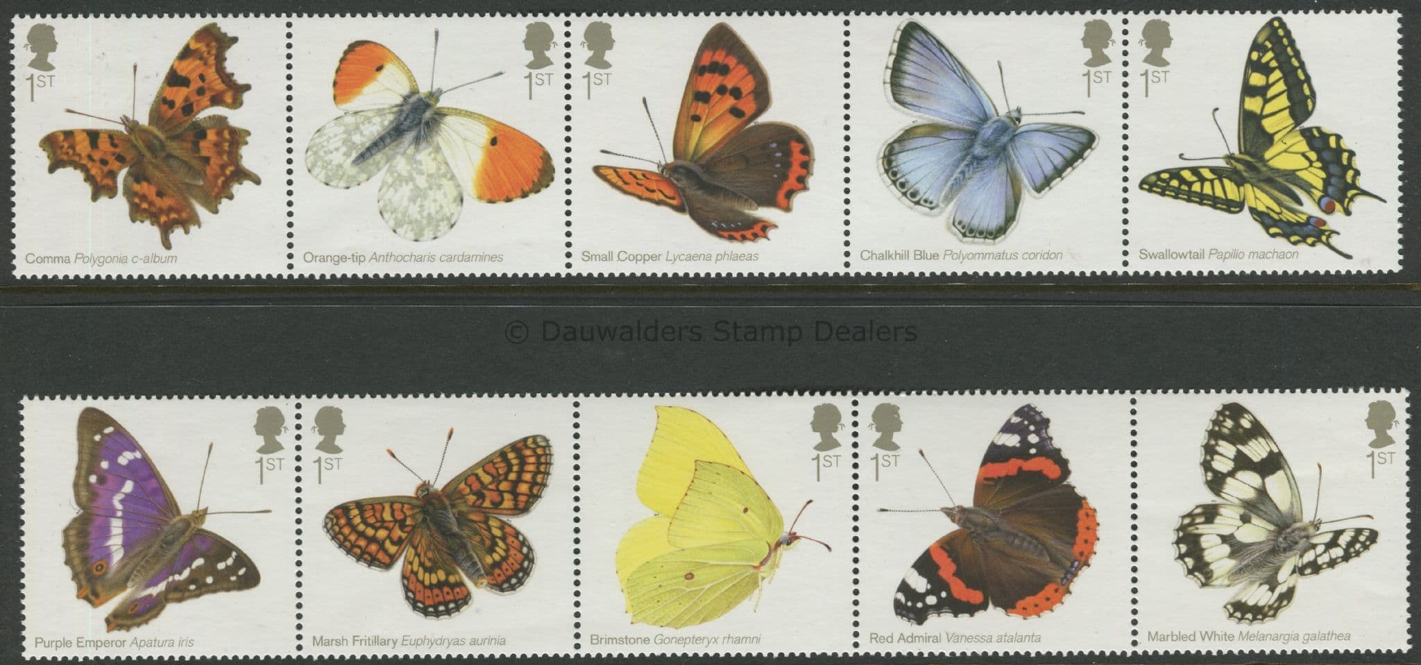 2013 British Butterflies