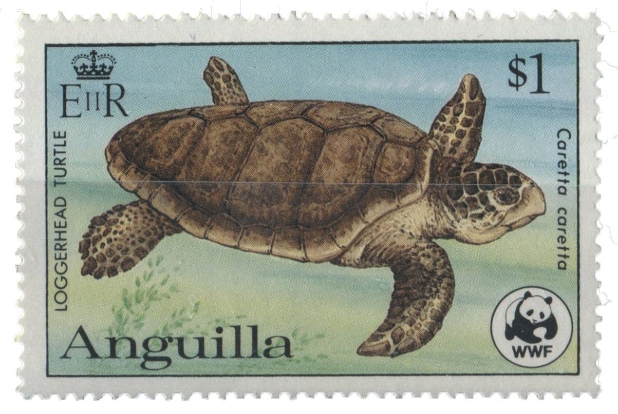 Anguilla