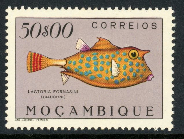 Mozambique