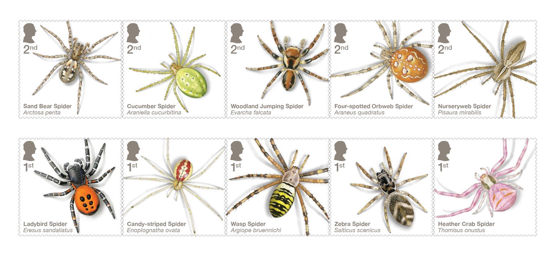 SG5223-5232 Spiders Set