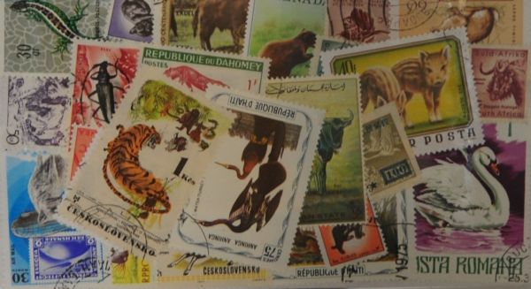 Animals 25 Stamps (M19)