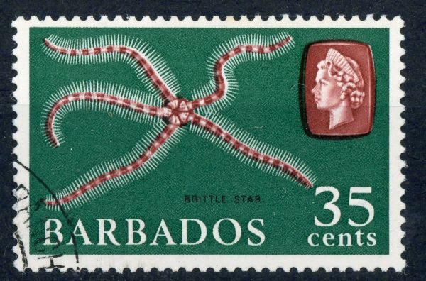 Barbados 1965 SG.332W F/U