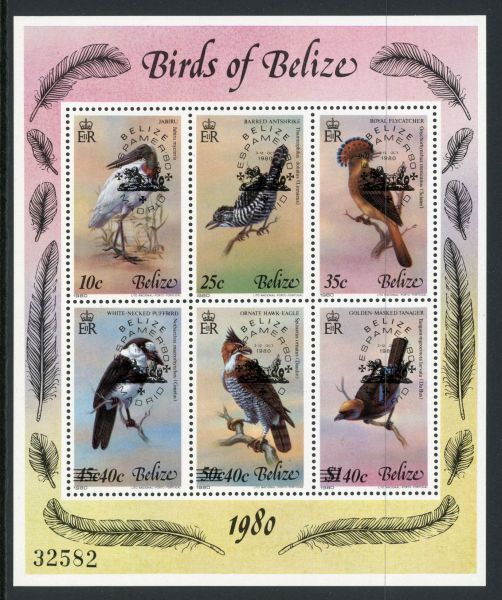 Belize 1980 SG.577a U/M