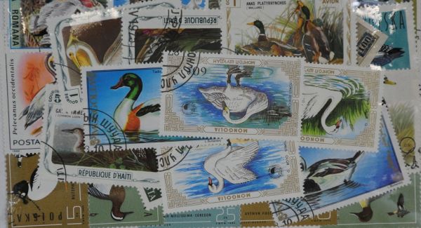 Birds 25 Stamps (Water) (M191)