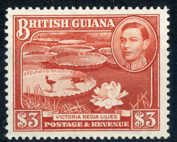 British Guiana 1952 SG.319b U/M