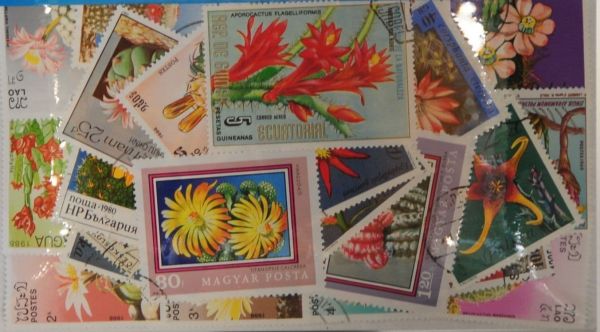 Cacti 25 Stamps (M18)