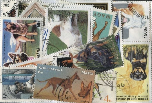 Dogs 50 Stamps (938)