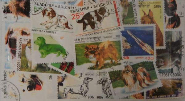 Dogs 50 Stamps (M39)