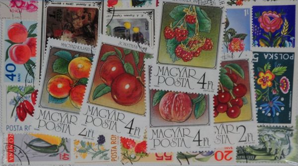 Fruits 100 Stamps (M168)