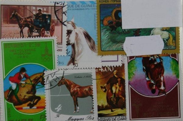 Horses 100 Stamps (128)