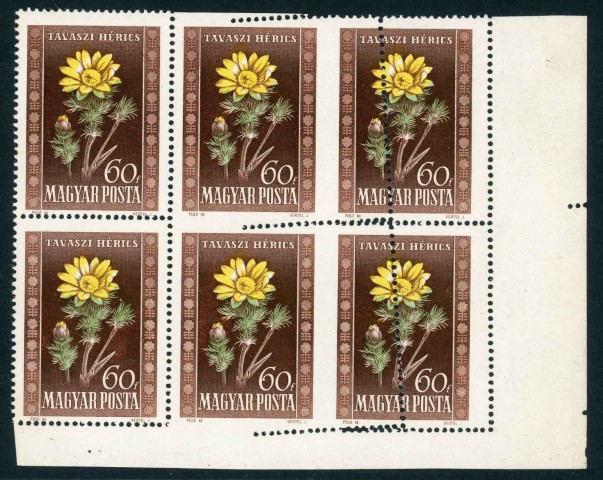 Hungary 1950 SG.1126 U/M perf error block of 6