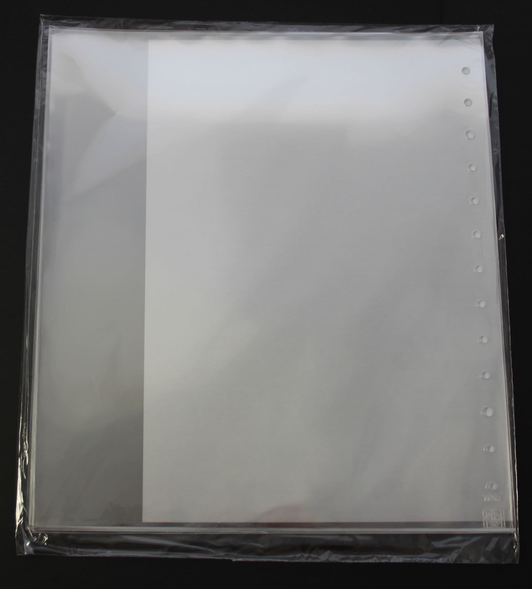 Lighthouse Exhibition sheet protectors (BSH 1) (Pack of 5)