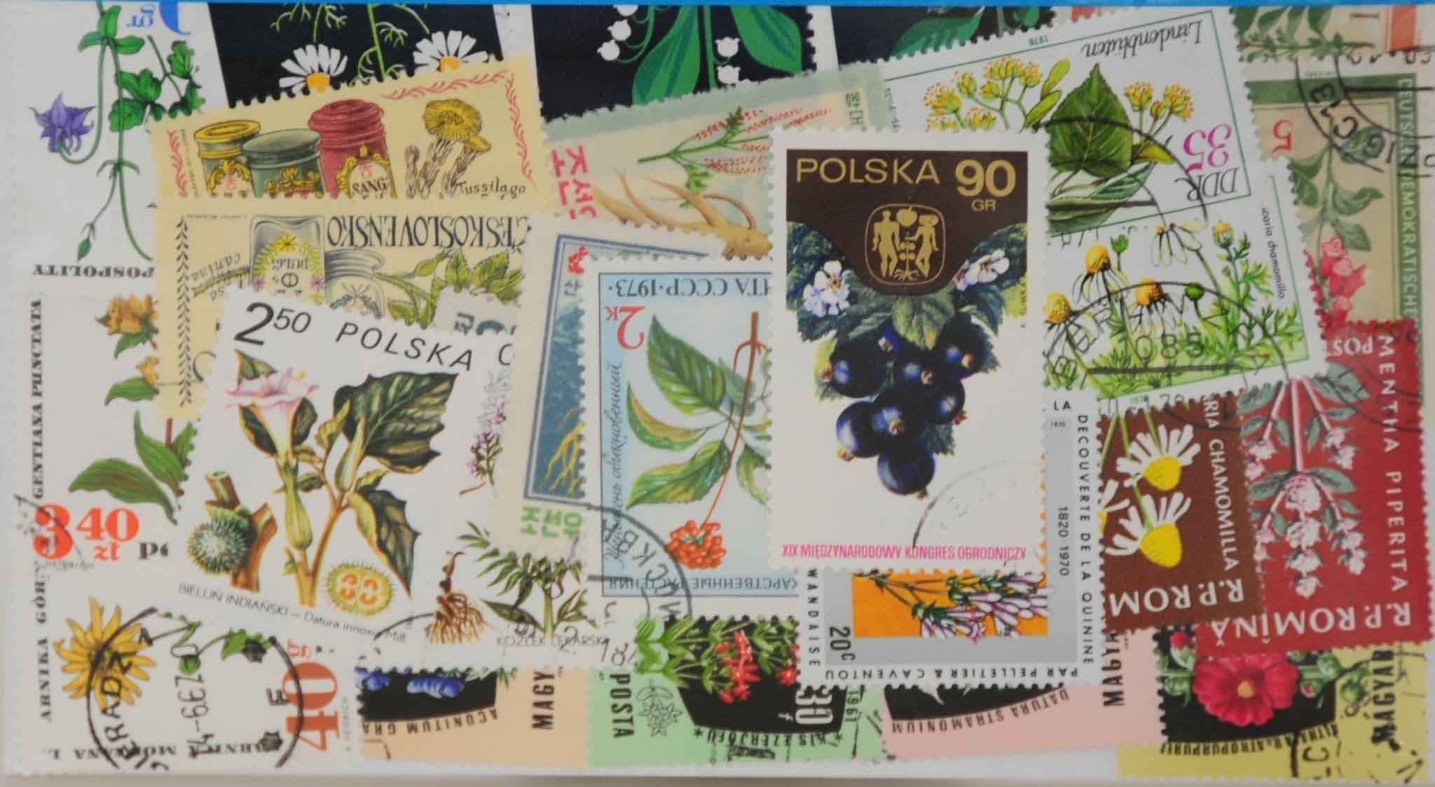 Medicinal Plants 25 Stamps (M65)