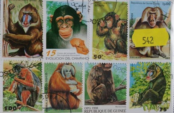 Monkeys & Chimps 40 Stamps (542)