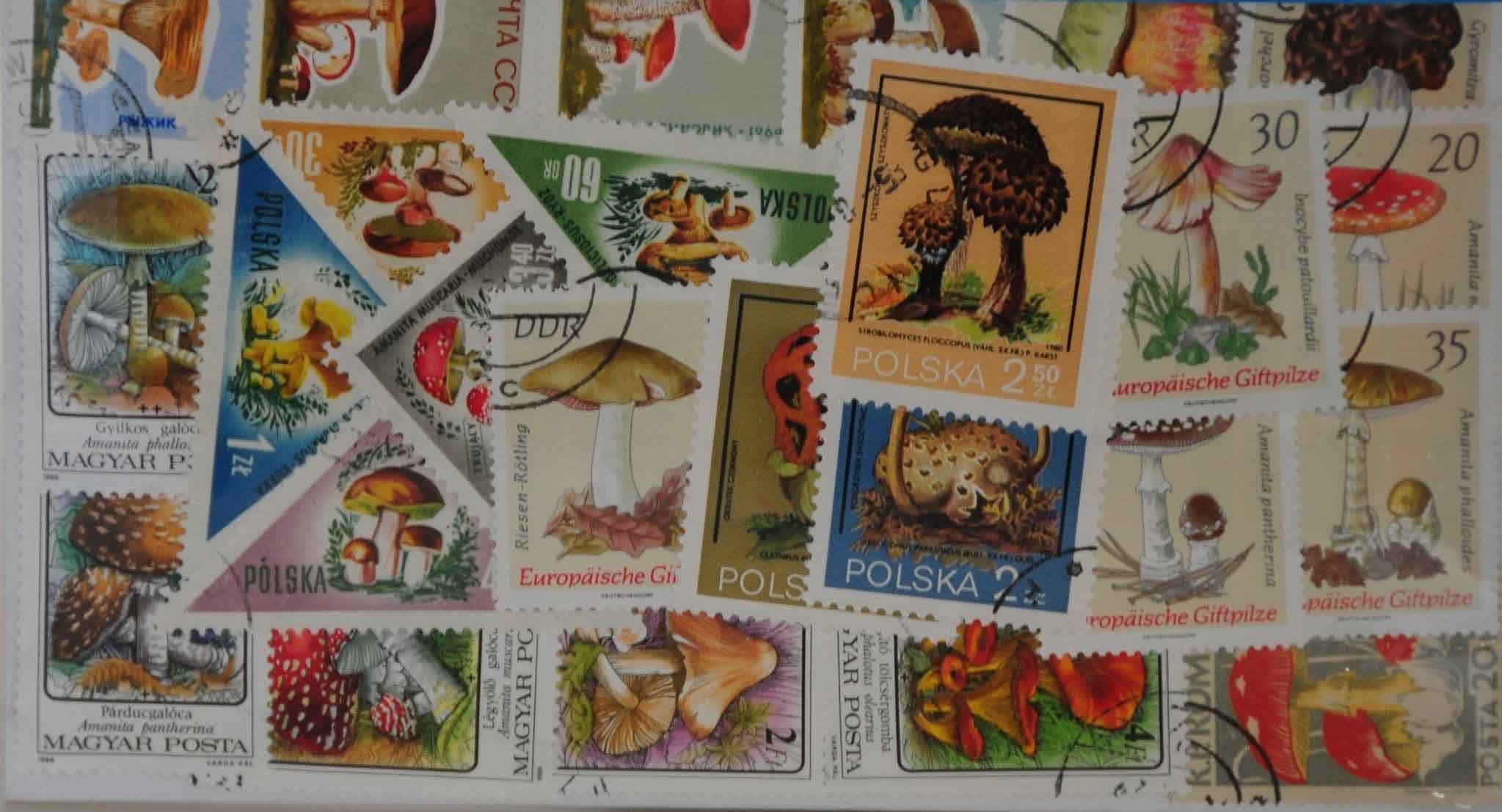 Mushrooms 50 Stamps (M87)