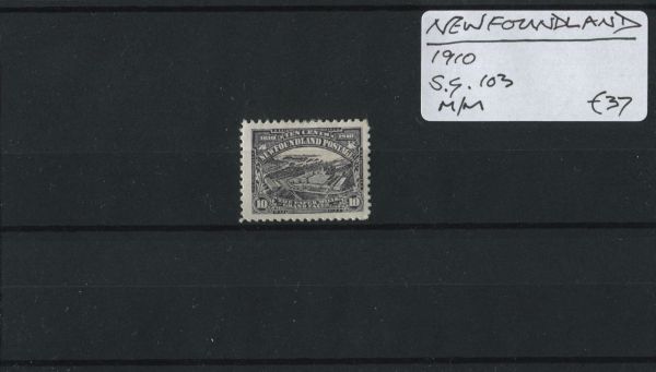 Newfoundland 1910 SG.103 M/M