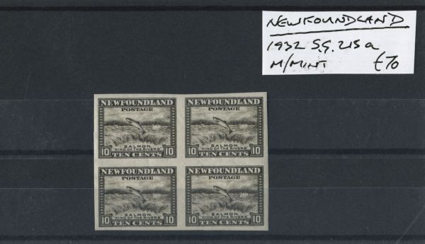 Newfoundland 1932 SG.215a M/M