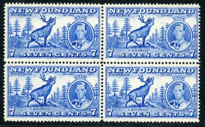 Newfoundland 1937 SG.259b M/M re-entry