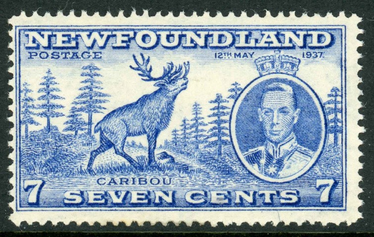 Newfoundland 1937 SG.259b M/M re-entry (1)