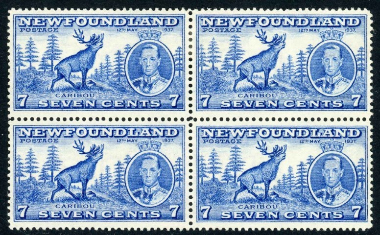 Newfoundland 1937 SG.259b U/M