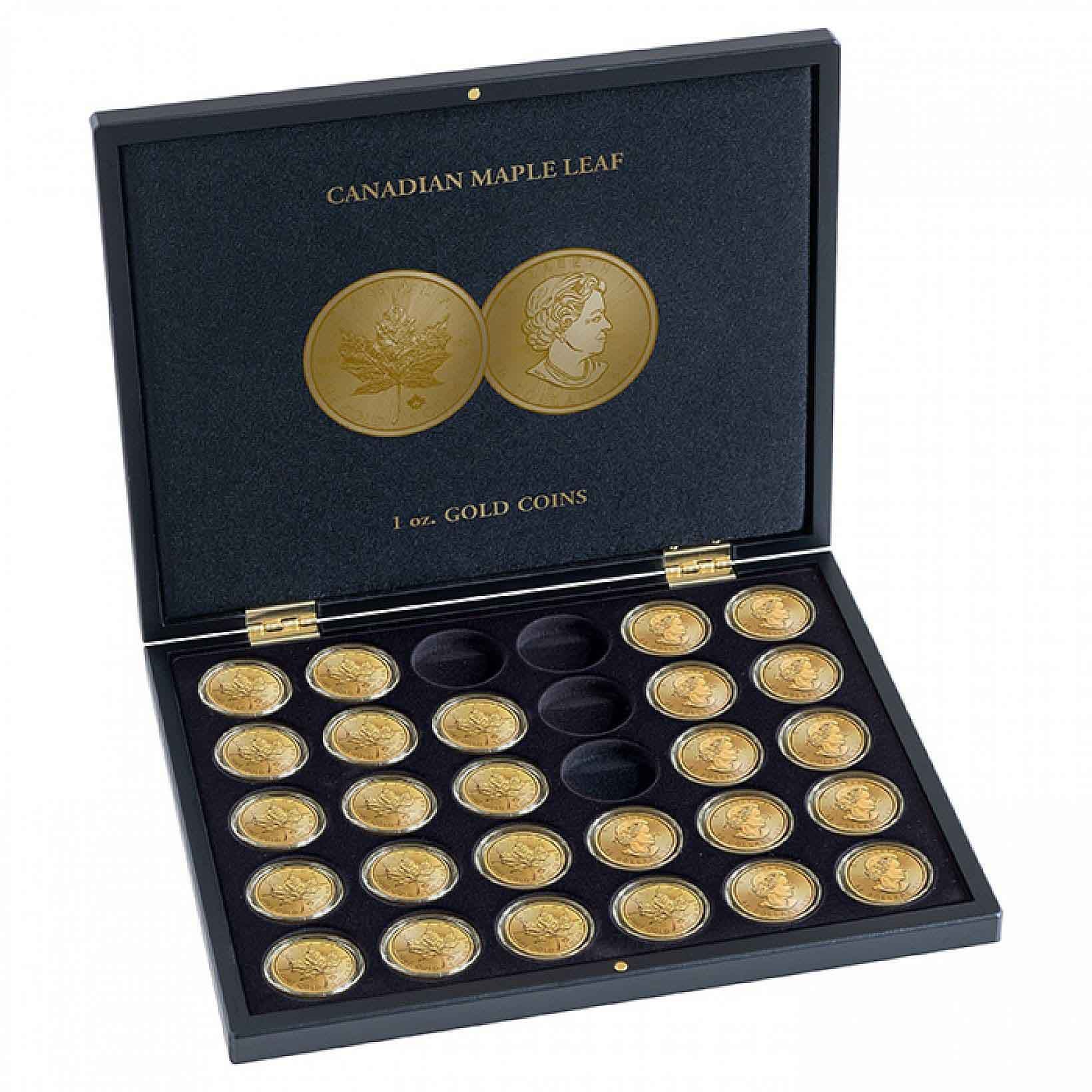 Presentation Case For 30 Maple Leaf Gold Coins In Capsules