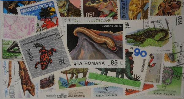 Reptiles 25 Stamps (M95)