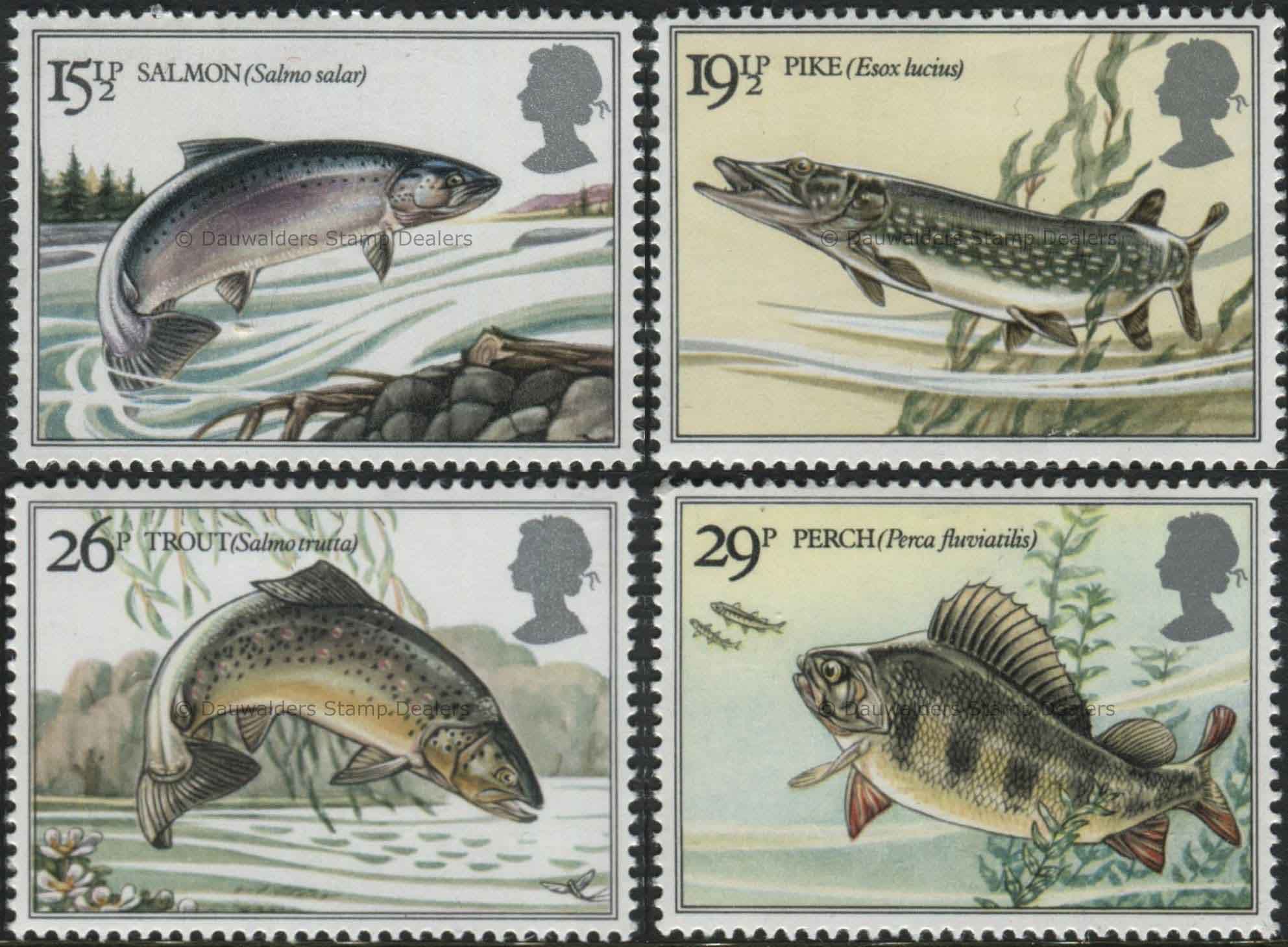 SG1207-1210 Set of 4 River Fishes