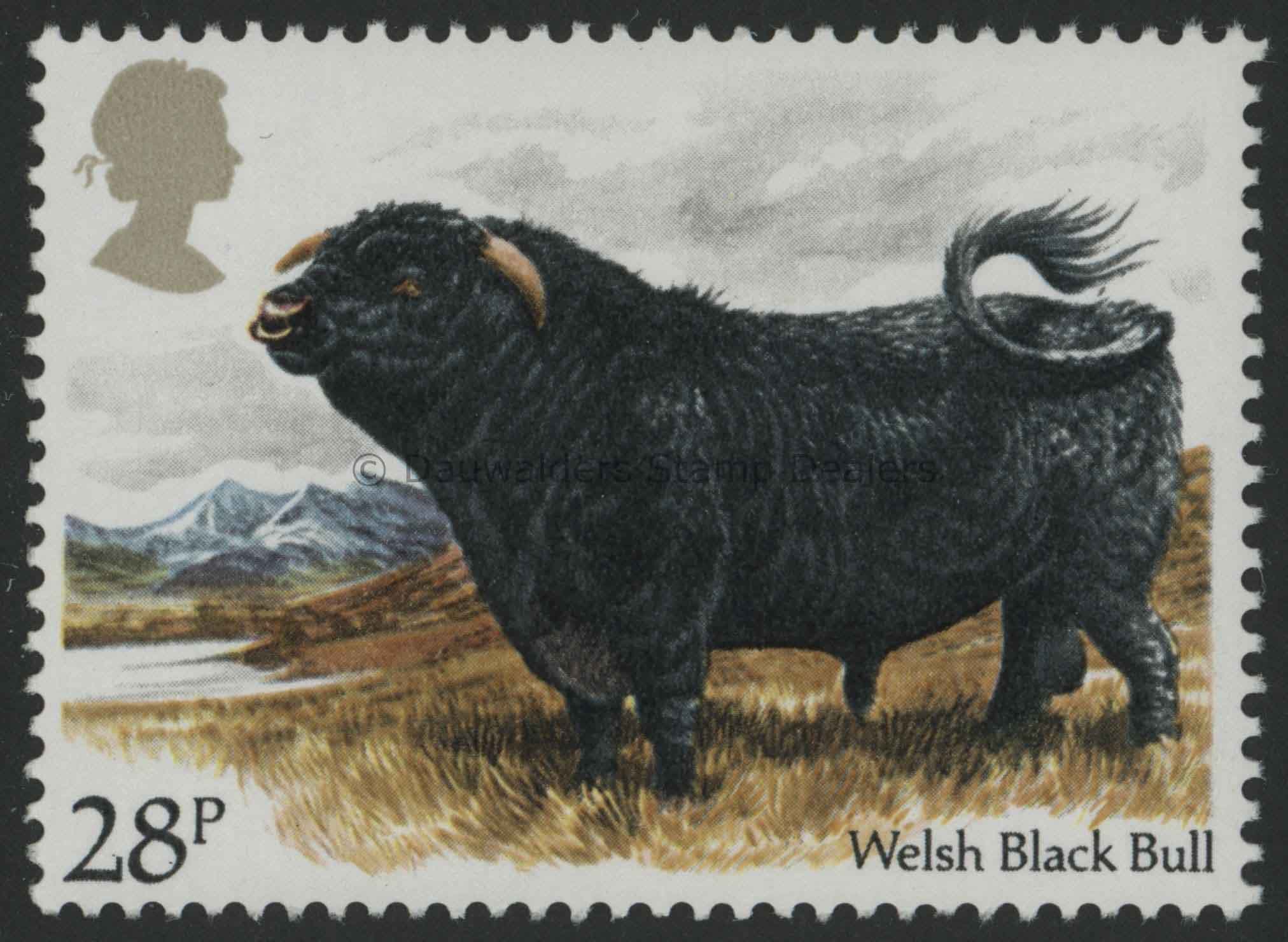 SG1243 28p Welsh Black Bull 1984 Cattle