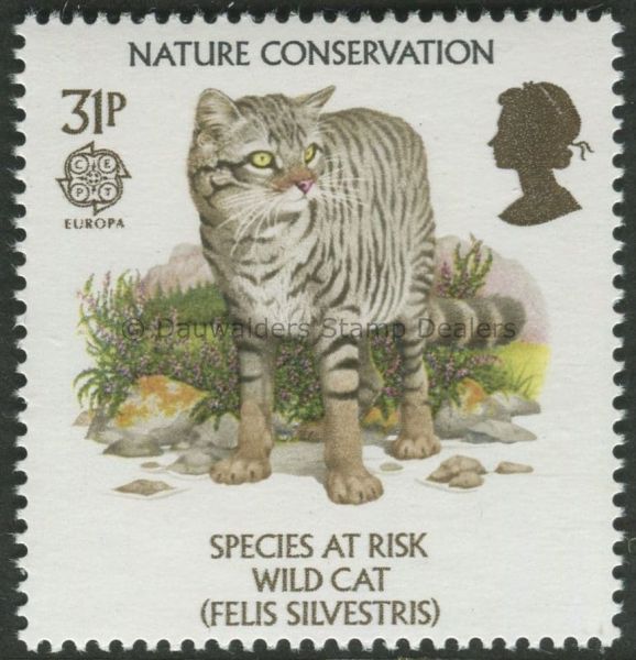 SG1322 31p Wild Cat 1986 Nature Conservation