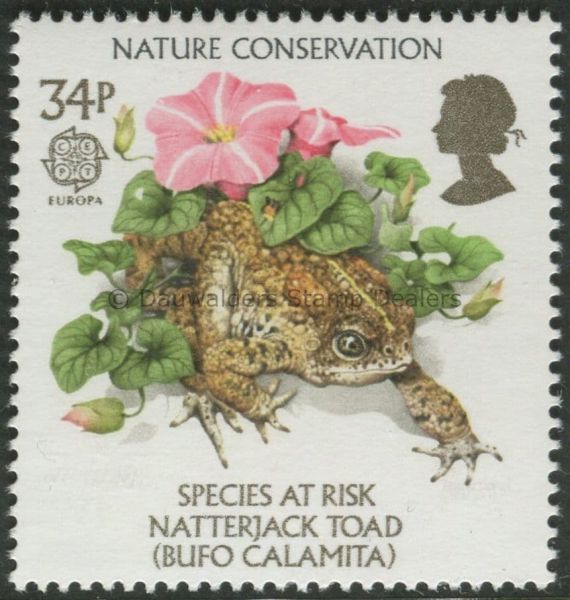 SG1323 34p Toad 1986 Nature Conservation