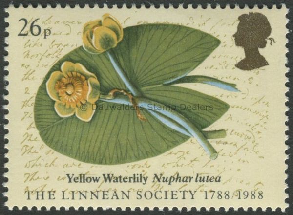 SG1381 26p Yellow Waterlily 1988 Linnean Society