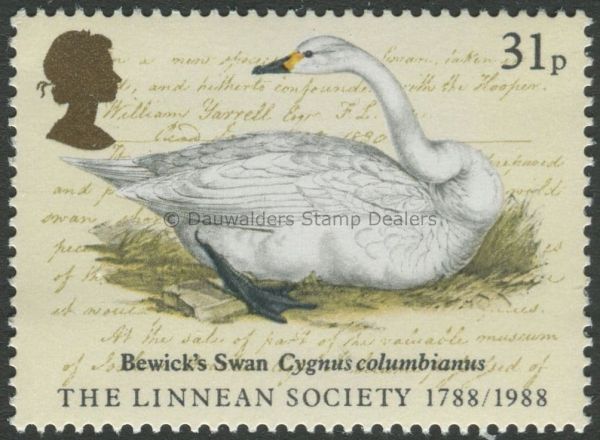 SG1382 31p Bewick's Swan 1988 Linnean Society