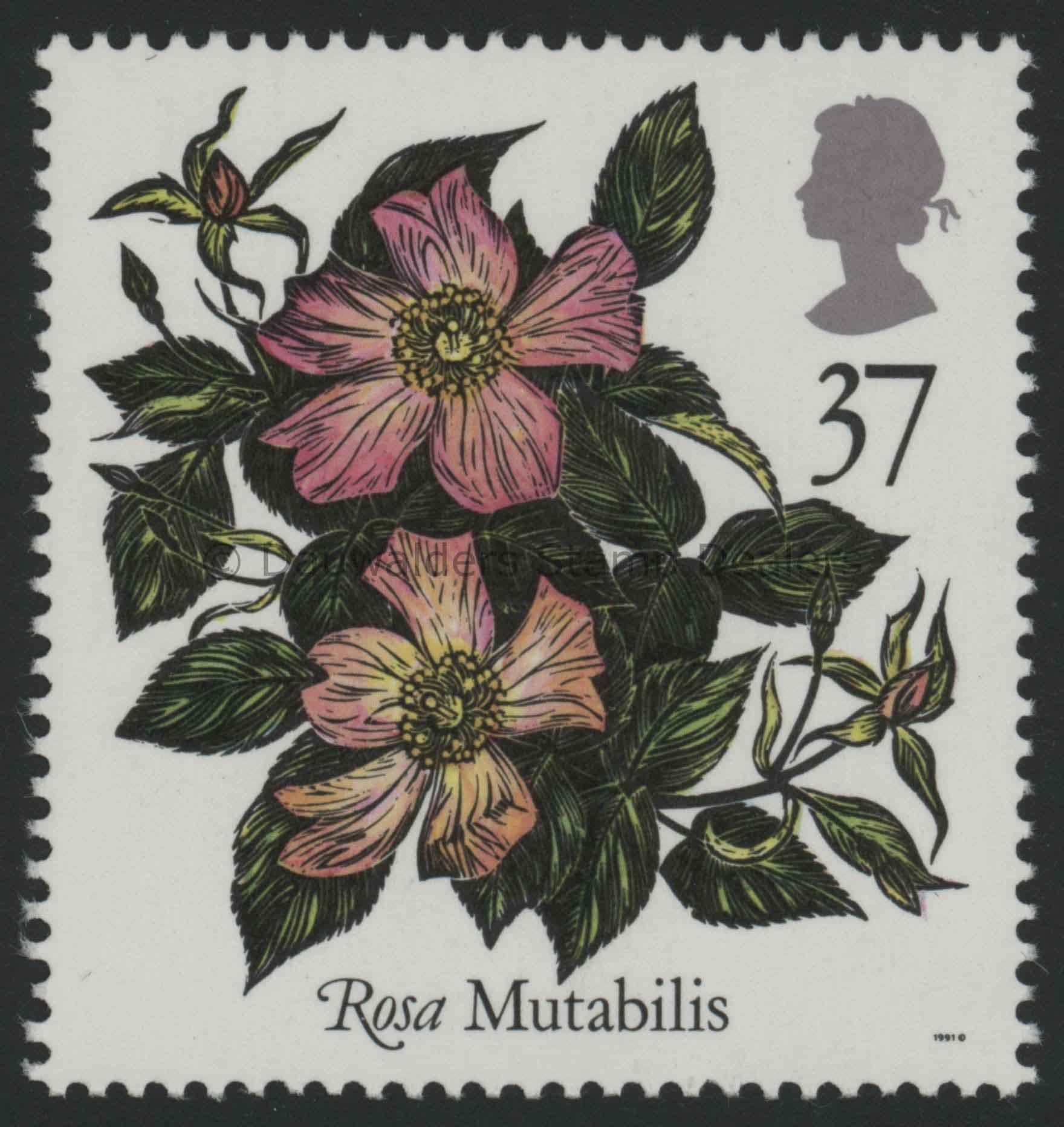 SG1572 37p Mutabills 1991 Roses