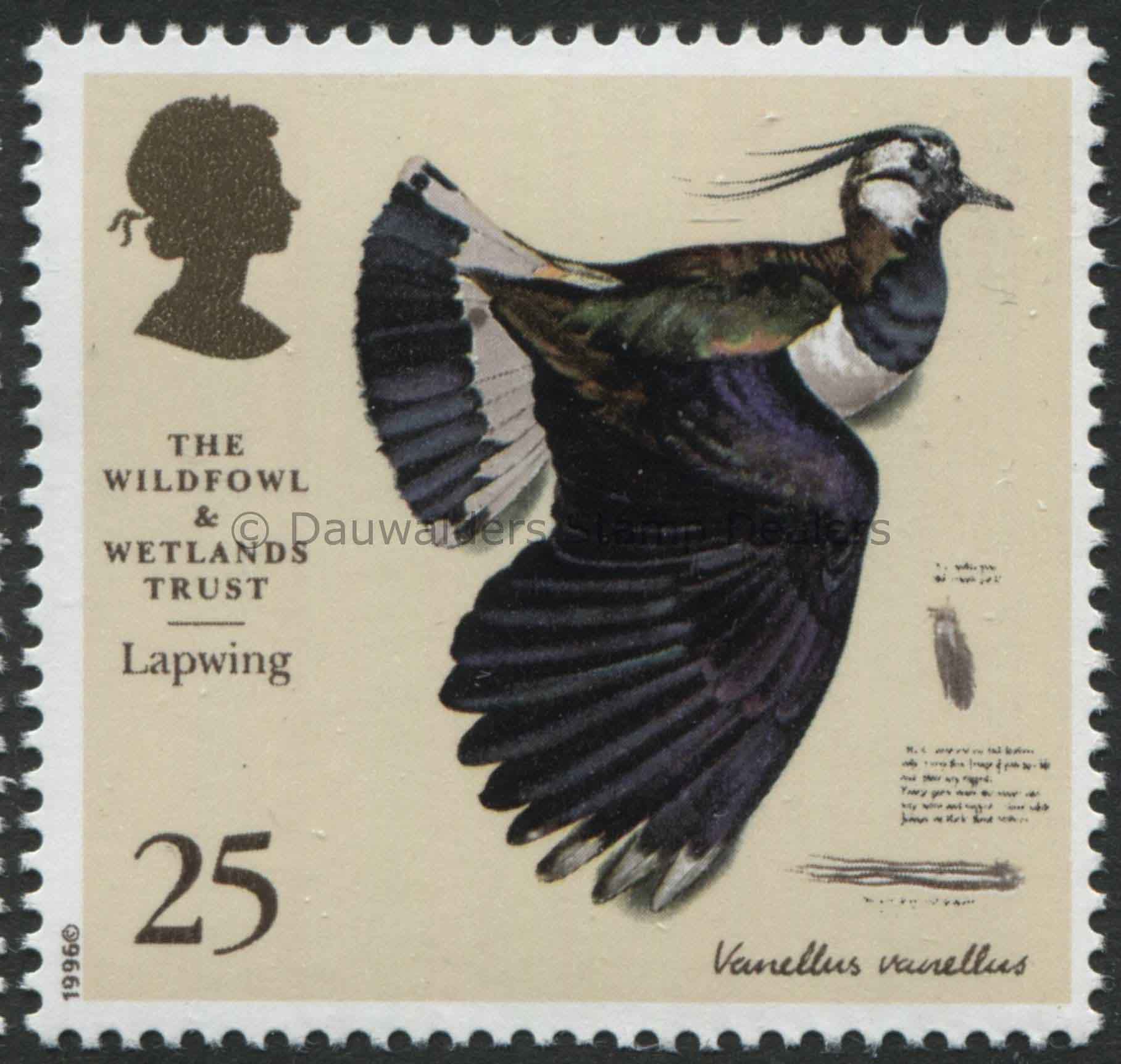 SG1916 25p Lapwing 1996 50th Anniv. Wildfowl and Wetlands