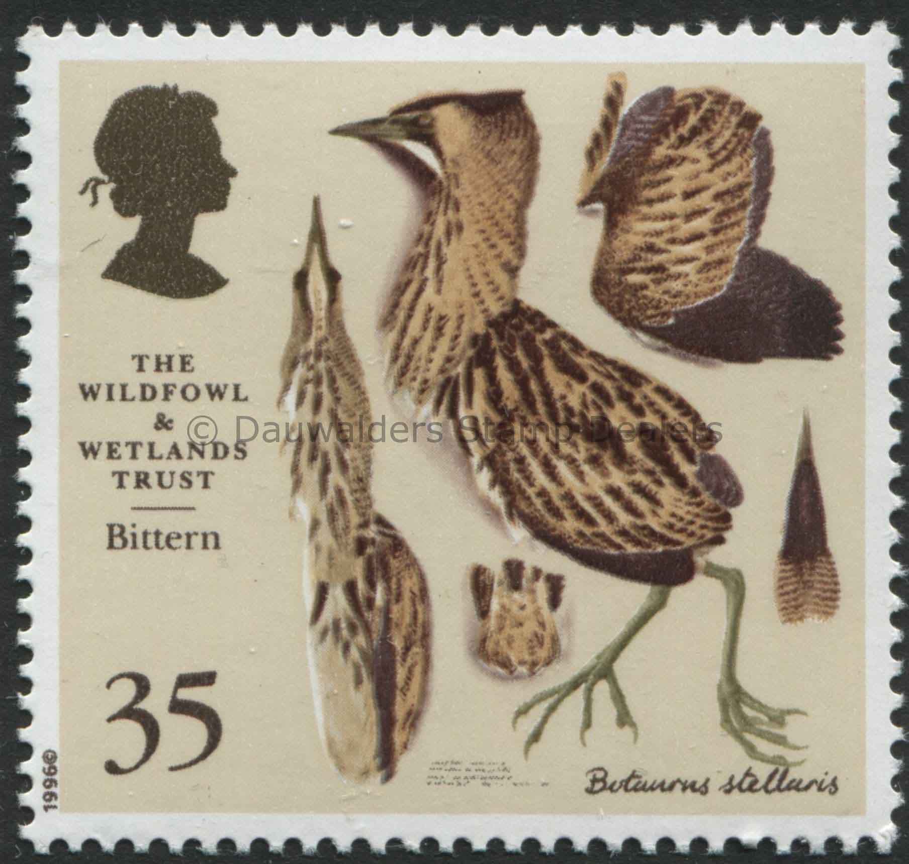 SG1918 35p Bittern 1996 50th Anniv. Wildfowl and Wetlands