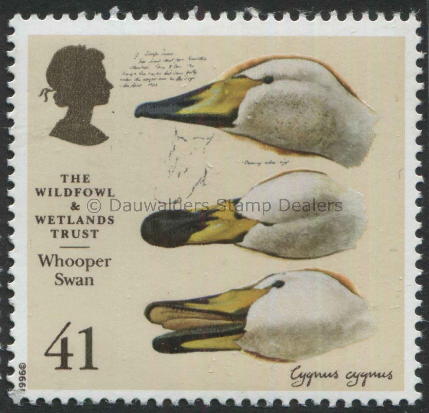 SG1919 41p Whooper Swan 1996 50th Anniv. Wildfowl and Wetlands