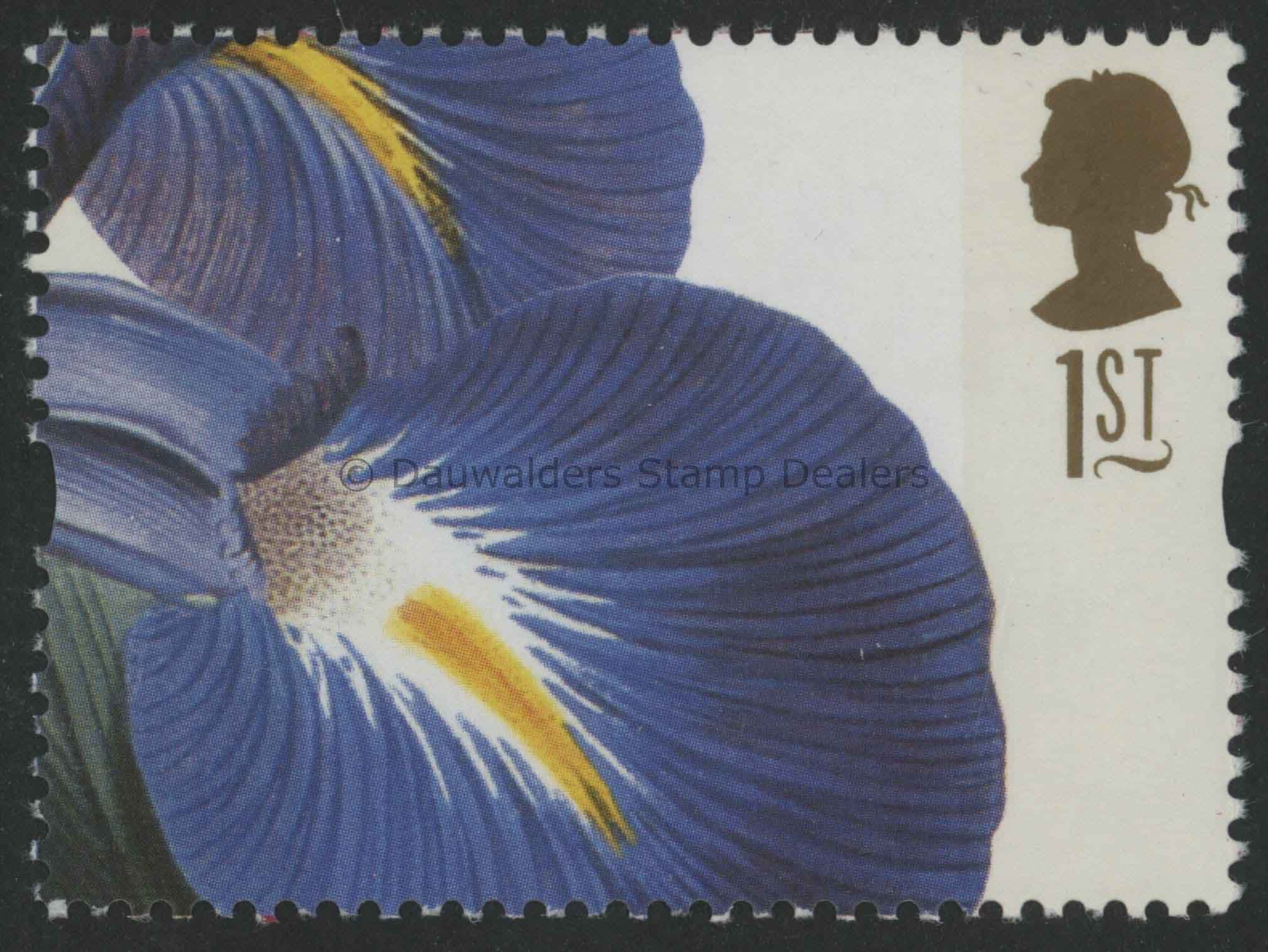 SG1962 1st Iris Latifolia 1997 Greetings  - Flowers