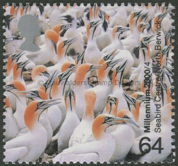 SG2128 64p Cape Gannets 2000 Millennium Above and Beyond