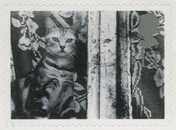 SG2193 1st Cat in Window 2001 Cats and Dogs (S/A)