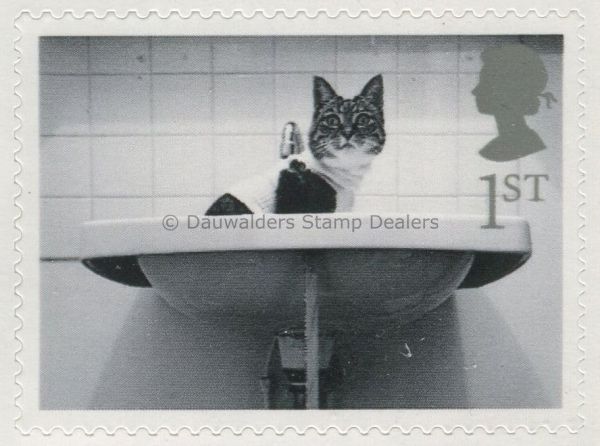 SG2196 1st Cat in Sink 2001 Cats and Dogs (S/A)