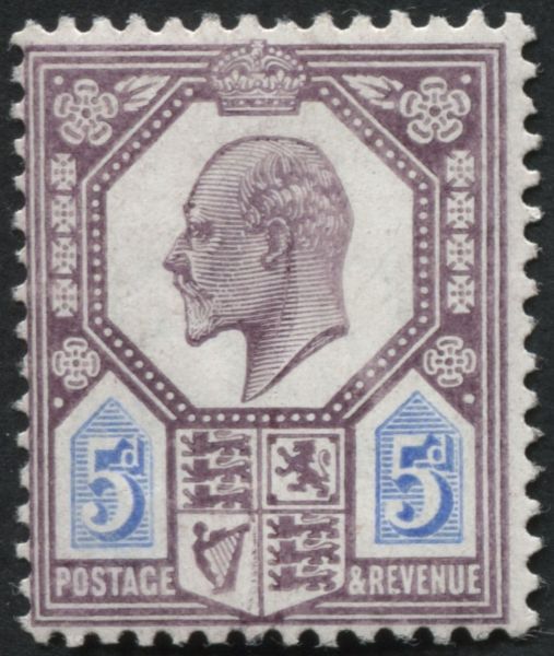 SG242a Purple and Blue U/M