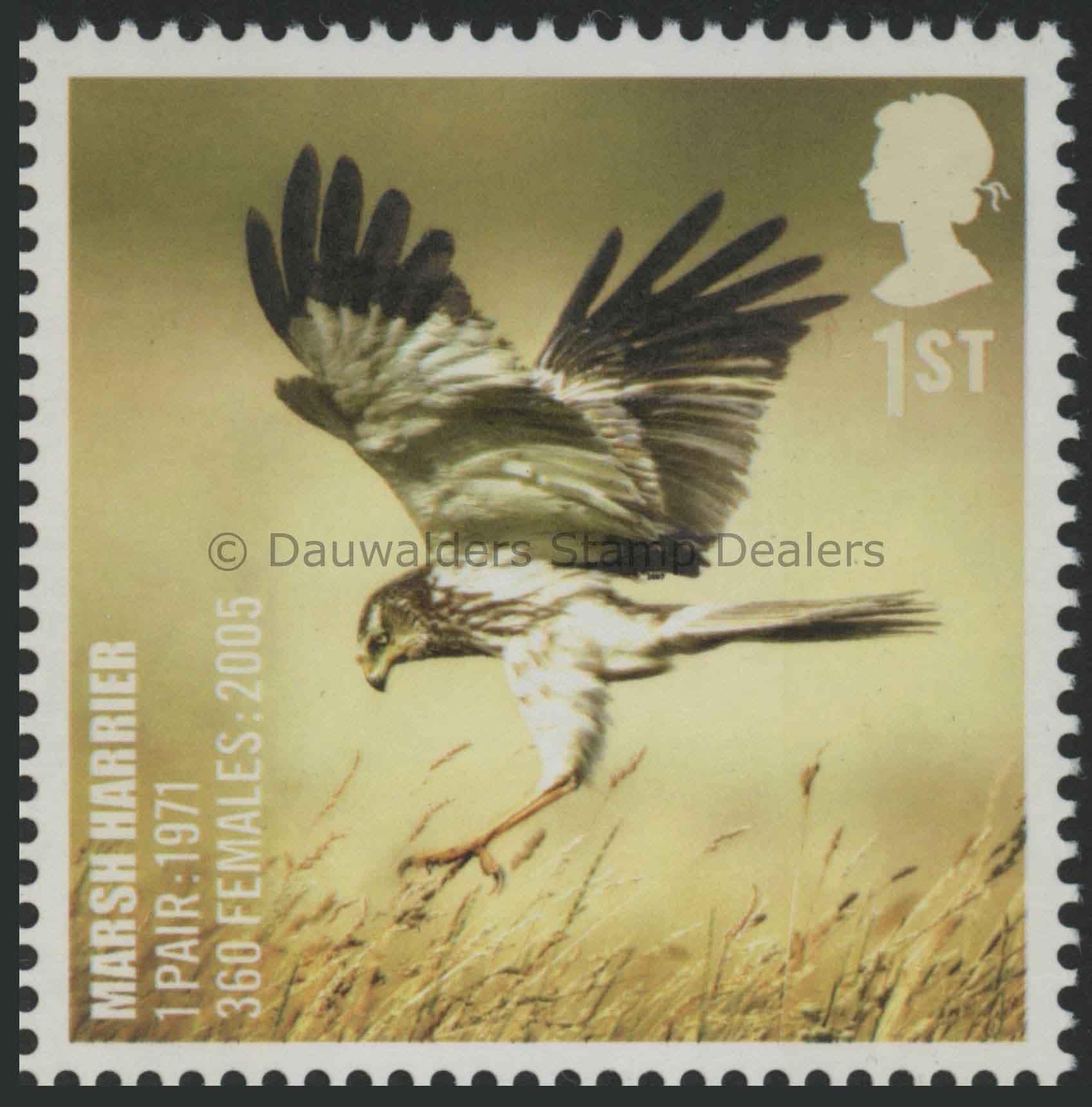 SG2768 1st Marsh Harrier 2007 Endangered Species Birds