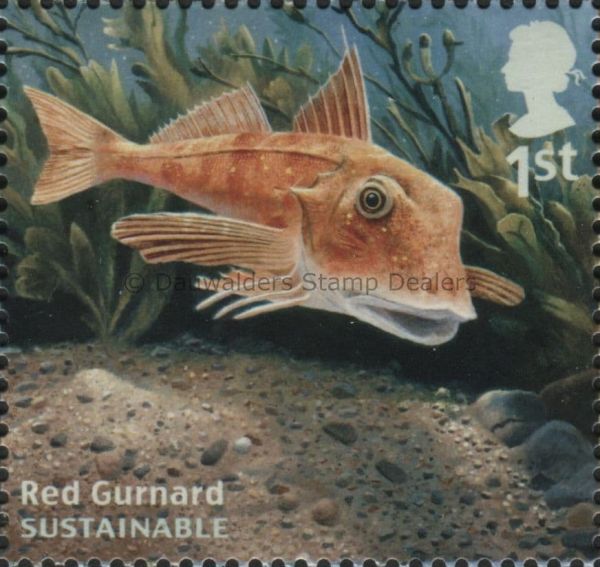 SG3610 1st Red Gurnard 2014 Sustainable Fish