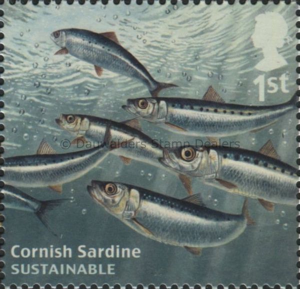 SG3613 1st Cornish Sardine 2014 Sustainable Fish