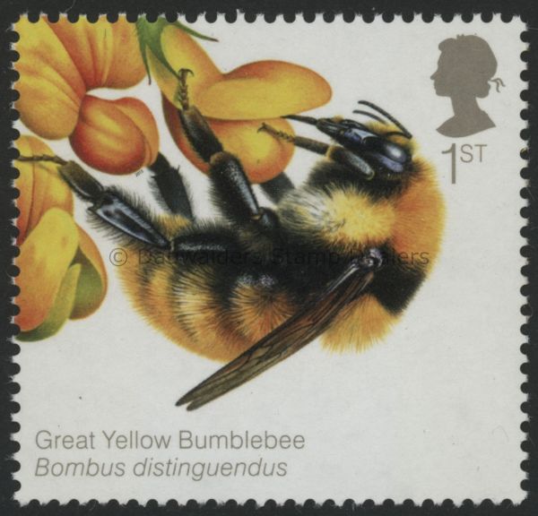 SG3737 1st Great Yellow Bee 2015 Bees