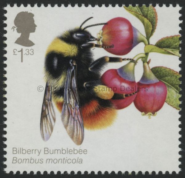 SG3739 1.33 Bilberry Bee 2015 Bees