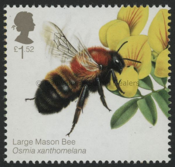 SG3740 1.52 Mason Bee 2015 Bees