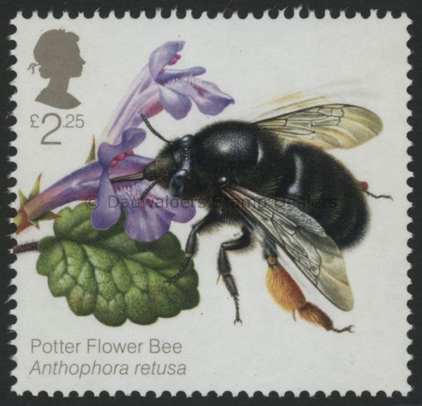 SG3741 2.25 Potter Bee 2015 Bees